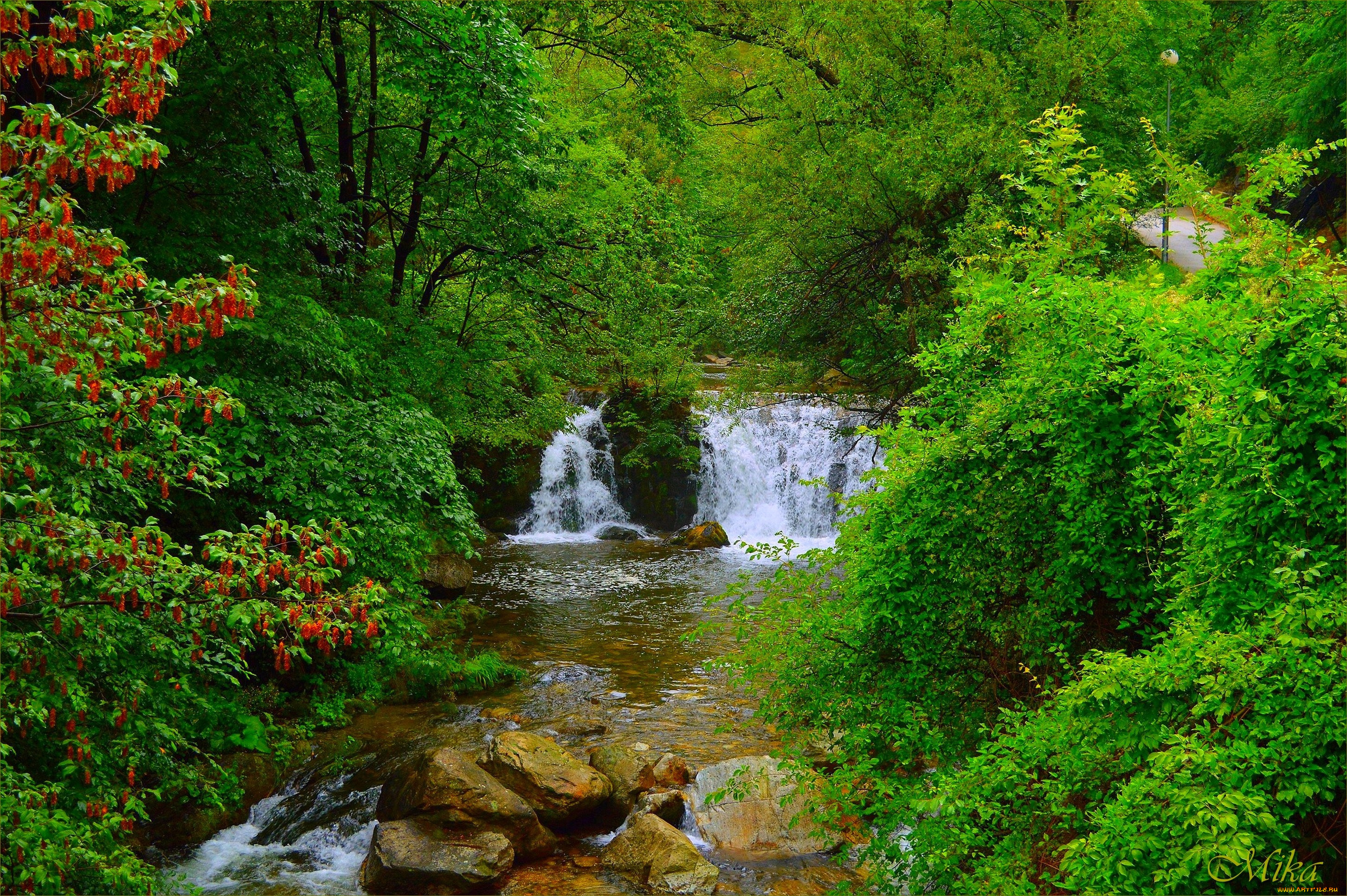 , , , , , , waterfall, forest, trees